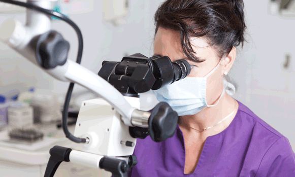 Cura canalare microscopica a Budapest
